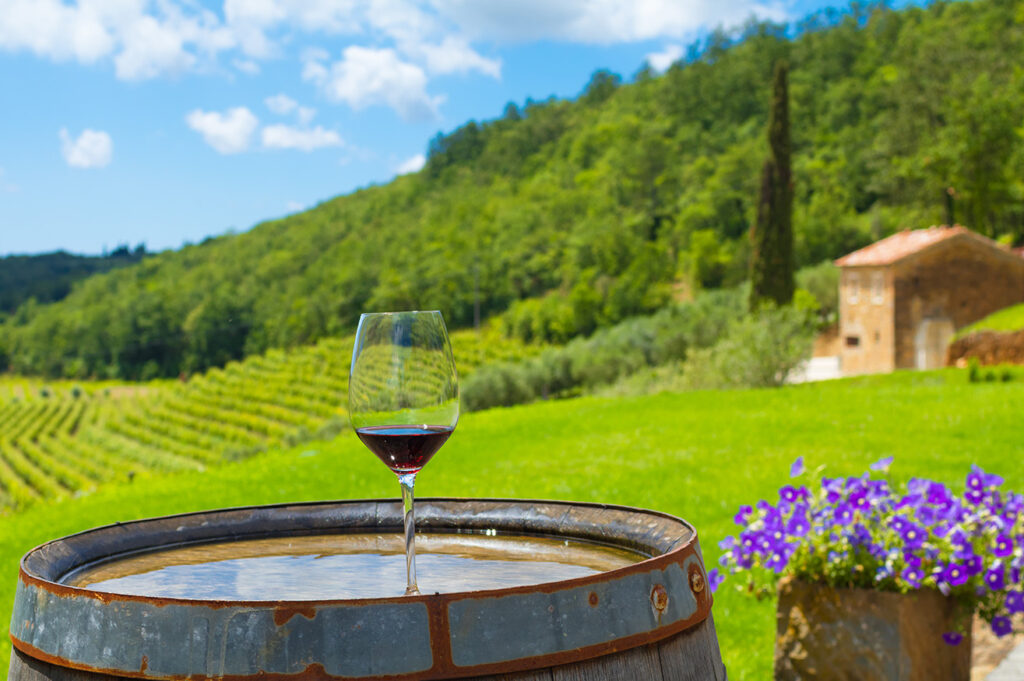 Tour de Vinos de Dalmacia